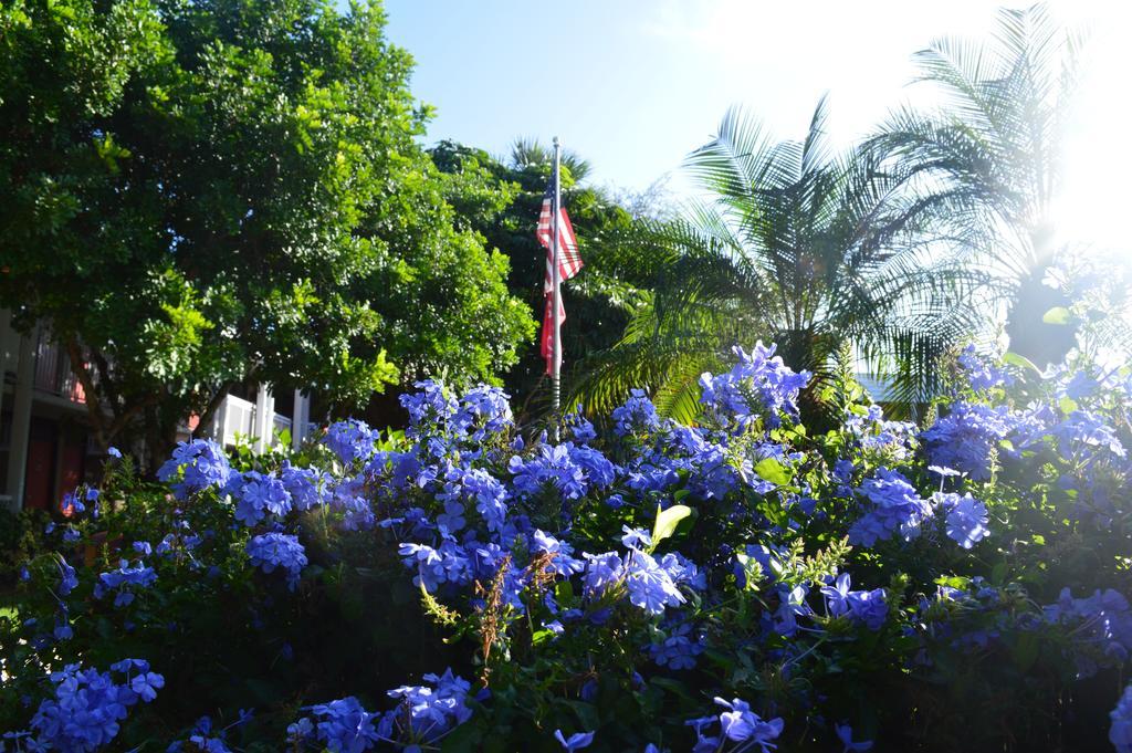 Collins Hotel Naples Luaran gambar